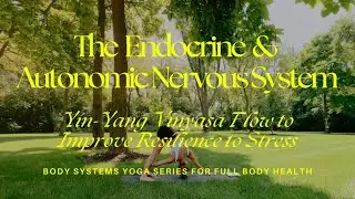 #4 ENDOCRINE & AUTONOMIC NERVOUS SYSTEM: Yin-Yang Vinyasa Flow to Improve Resilience to Stress