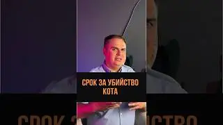 Срок за убийство кота 