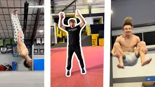 Best flips of 2023 - ASPEN TREE