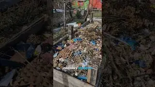 МУСОР В ГРЯДКЕ😱 что стало через год?