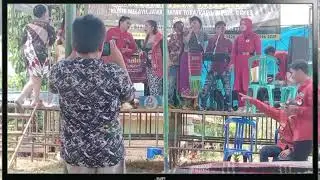 Ribakkon Boru Tanggang 😁😁😁 || Horas Sayurmatua(Cover)