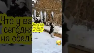 Минутка юмора! 😂😂😂
