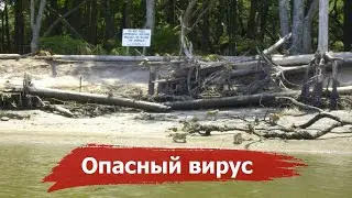 Why is it forbidden to visit 