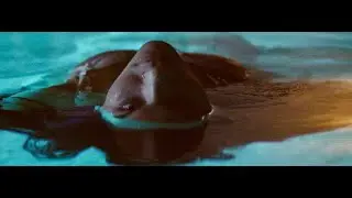 Gatlin - How Do You Sleep At Night? [Official Video]