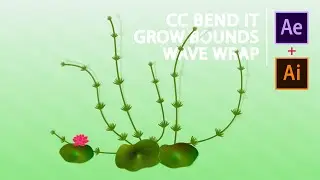 Animation in After Effects - Tạo animation đơn giản với After Effects | AE CC 2020