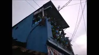 suara burung