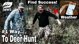 The #1 Way To Deer Hunt