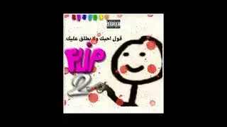 FLIP 2 - Magna 🛹