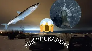 ФИНСКИЙ ЗАЛИВ | ДАМБА | КОРЮШКА