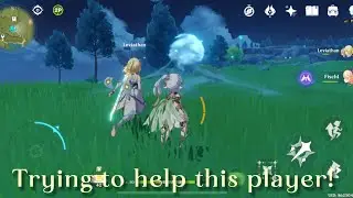 Helping this random player in genshin impact