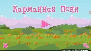 Карманная пони 