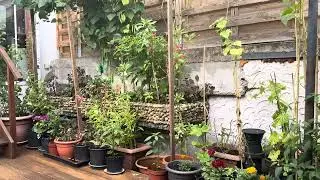 মানুষ কতোটা নির্যানতকারী হলে আল্লাহ তাঁকে পাঁকড়াও করেন। অপমানীত করেন।