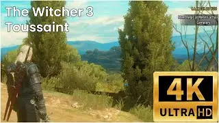 The Witcher 3 - Toussaint - Series X - 4k60