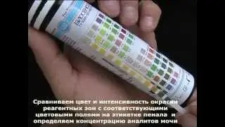 Бихимические тест полоски для мочи дома