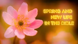 Spring And New Life In The Bible