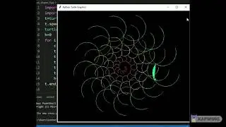Turtle Python Project