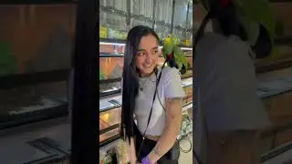 Попугай ругается м@том!!!