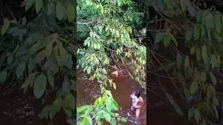 mancing mania