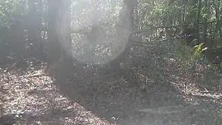 yote2
