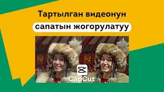 Видеону сапатын жогорулатуу