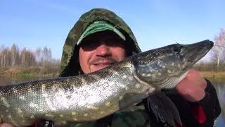 Эксперимент - воблер против манда-воба. Кто кого? Щука просто дуреет от этого воблера. Ловля щуки.