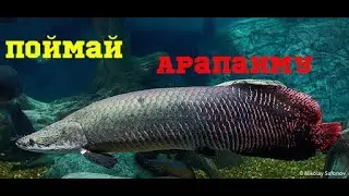 Fishing Planet PS4- PRO100 Stream Соревнование по поимке Арапаимы