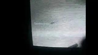 Dispute win against Kicks and Ritual