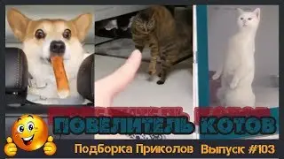 Лучшие приколы 2019 Март | Лютые приколы | ПО ПРИКОЛУ#103😂 | Свежая подборка