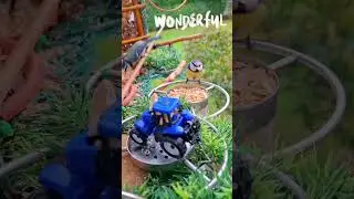 @Federn moments - Oktober 2024 👋🐦🐦‍⬛🥜❤️ #video #birds #nature #trending #motivation