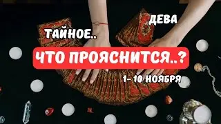 🔴Virgo♍️Signs of Destiny - Events from November 1st to 10th...and beyond⁉️Astro Ispirazione