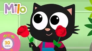 Milo is an expert in plants 🌱​ | Milo, The Cat