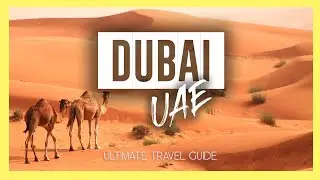 DUBAI 🇦🇪 | 10 Amazing things to do