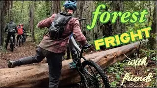 Idiots Riding in Mendocino
