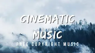Free Copyright Music | RFM - NCM | No Copyright | Hopeless | Cinematic Music 🎧▶