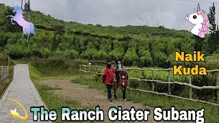 Lagu Naik Delman Istimewa | Kuda | Naik Kuda | The Ranch Ciater Subang | Lagu Anak Populer