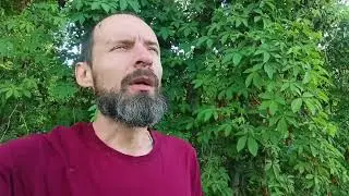 Купил участок в деревне, обнаружил старый фундамент