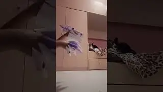 15 сентября 2022 г.