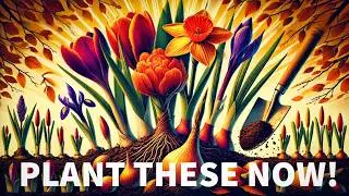 Top 5 Bulbs You NEED to Plant This Fall