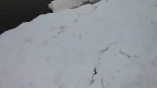 На Рижском взморье . Юрмала.  8 января 2017 года