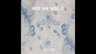Vlad Bretan - Your Computer Restarted Because Of A Problem [NIE014]