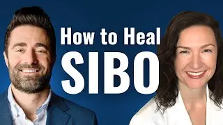 Exciting NEW Treatments For Healing SIBO and Bacterial Infections  | Dr. Allison Siebecker