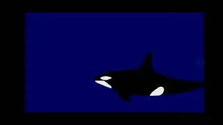 Orca vs Brygmophyseter