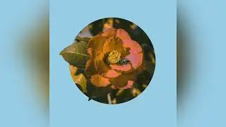 lost in an adventure (Official Audio)