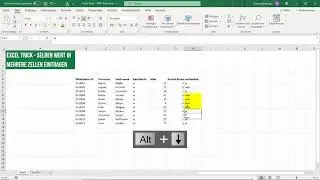 Excel Trick - Einen Wert in alle markierten Zellen schreiben - Quick Tipp