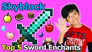 What is the Best Sword Enchant in Hypixel Skyblock? /Enchantment - Sharpness, First Strike, Critical
