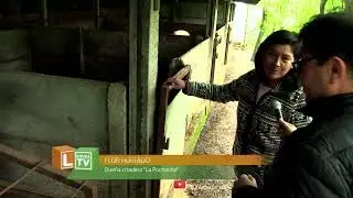 NOTA PROGRAMA PDTI / CRIADERO DE CERDOS LA POCHOCHA