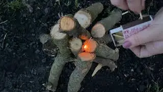 манифест ксени баруздиной
