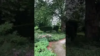 #shorts ОЧИЩЕНИЕ ОРГАНИЗМА И ДРУГОЙ ВЗГЛЯД НА ЖИЗНЬ