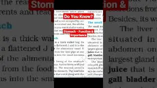 Stomach Function and importance in our body Digestive System #scienceclass #stomach