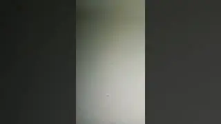 когда включила свет: